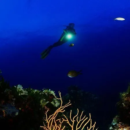 度假居 Casa Angelina A Due Passi Dal Mare 阿奇雷亚莱